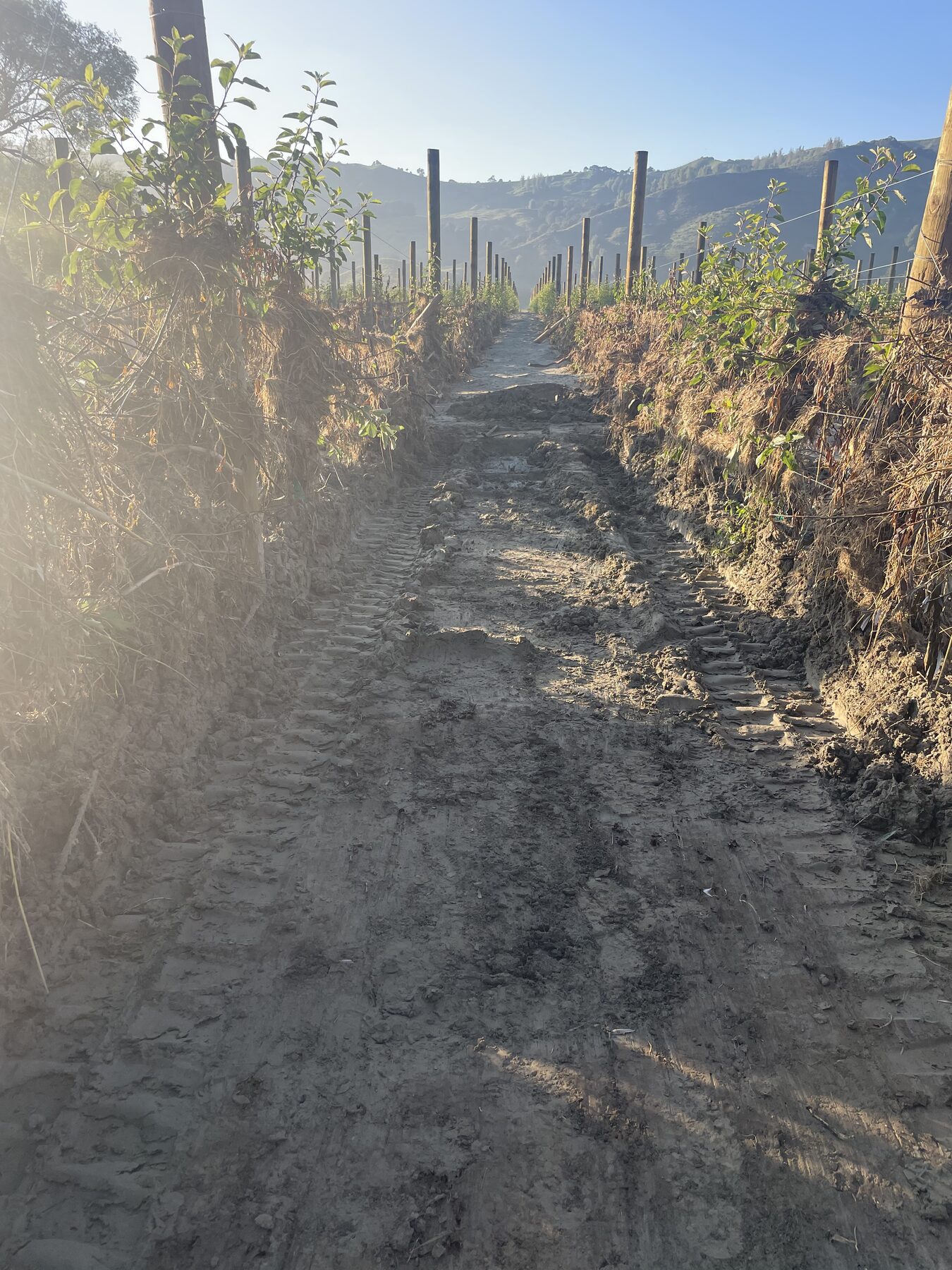 Cleared track through silt and debris